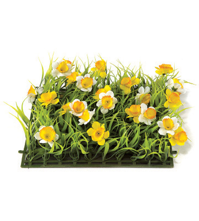 Ornamental Grass With Fabric Daffodils 10" Sq